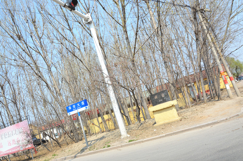 DSC_0466_副本.jpg